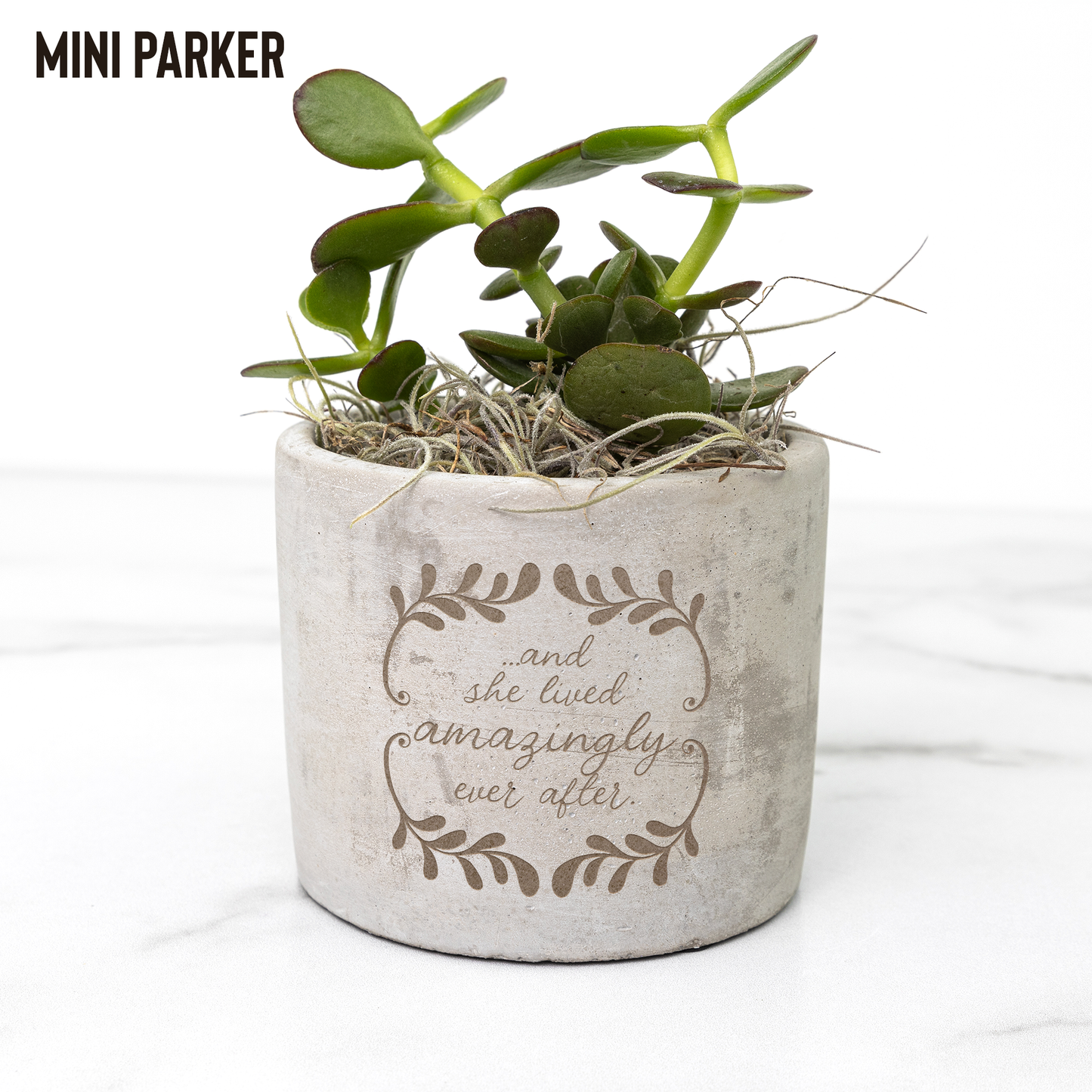 Amazingly_Ever_After_Potted_Plant_Parker_Mockup_Mockup.png
