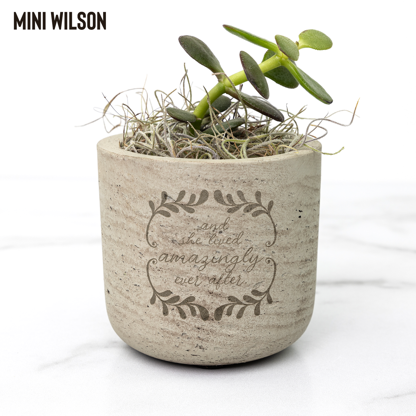 Amazingly_Ever_After_Potted_Plant_Wilson_Mockup_Mockup.png