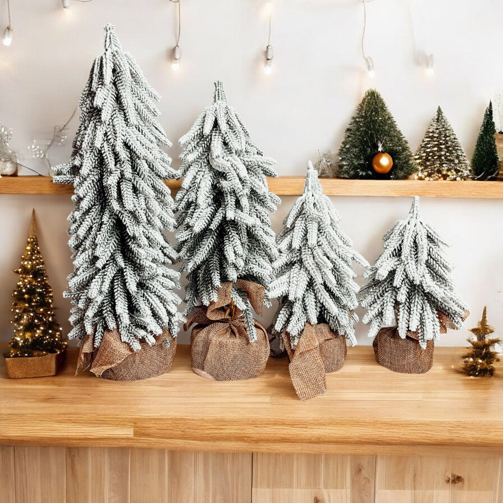 Snow Christmas Trees