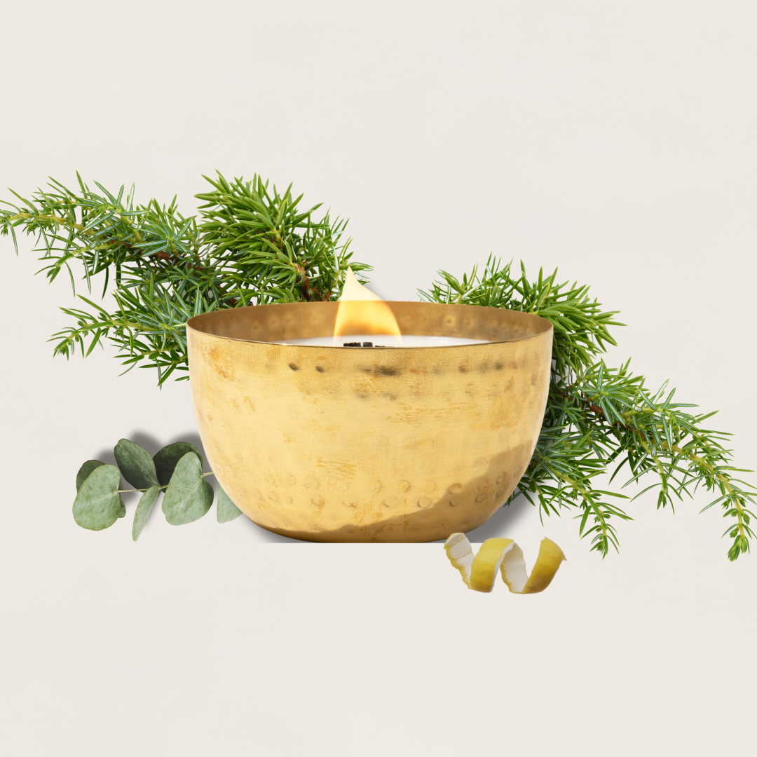 Juniper & Balsam Fir-Solid Brass 14oz Pure Soy Candle - Gold candle holder with a candle, surrounded by greenery on a light background