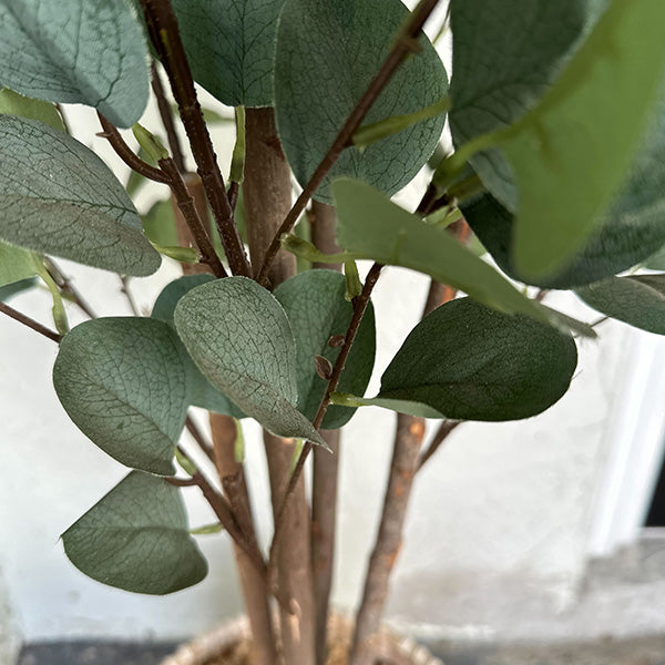 5' Tall Lifelike Potted Tree with Realistic Leaves and Moss Detail