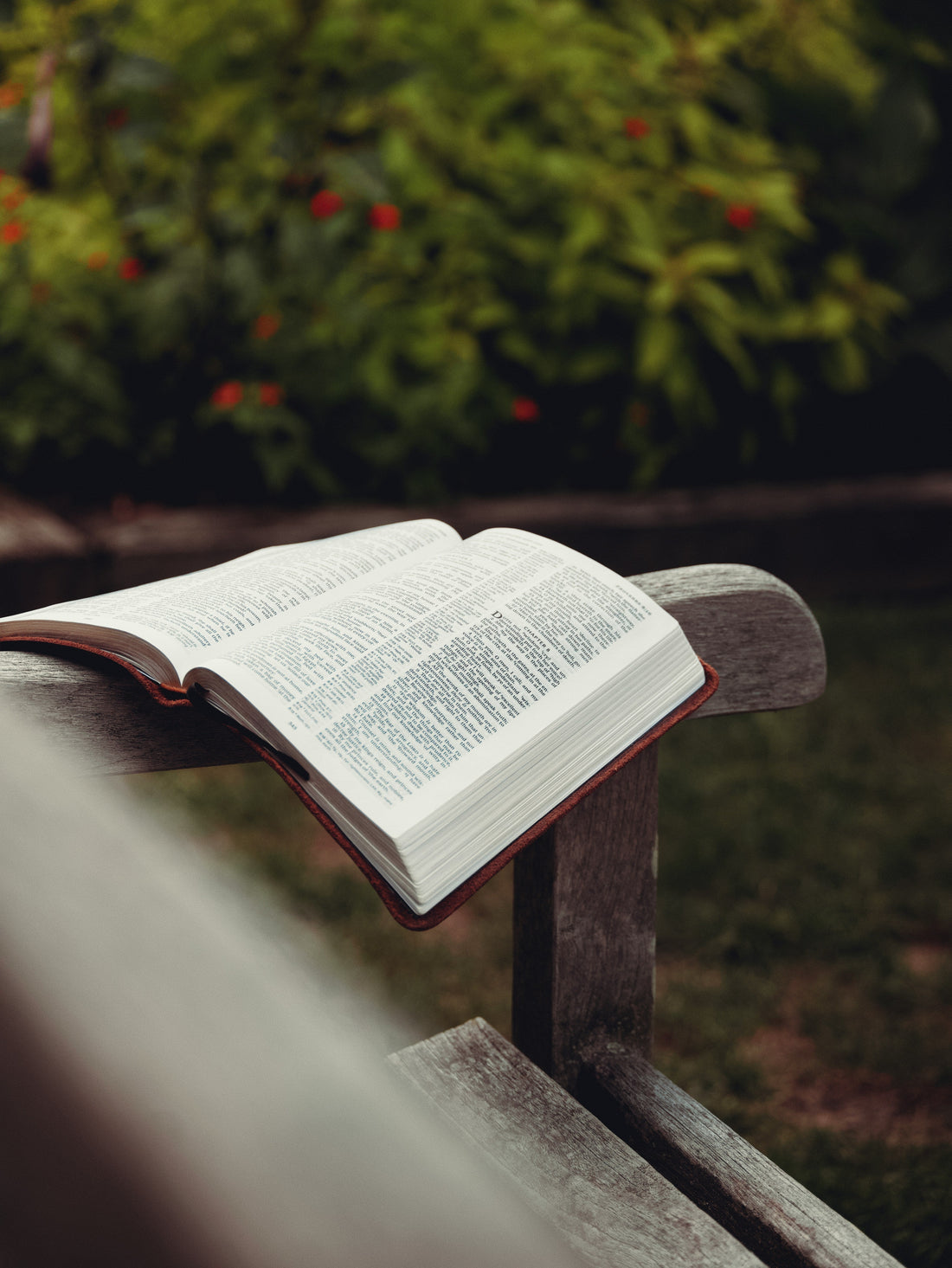 Bible sitting open on a wooden bench with garden in the background
