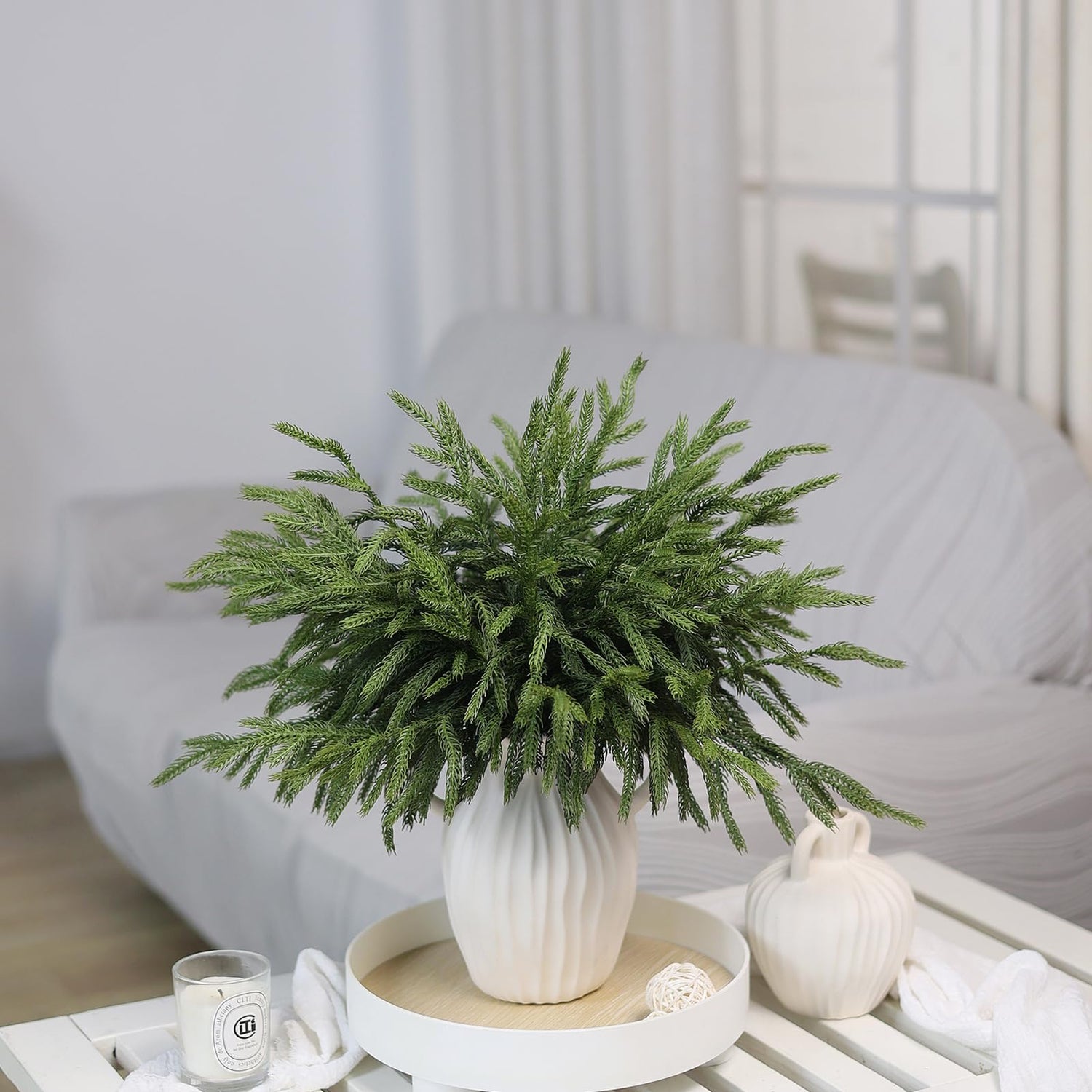 Plants & Greenery