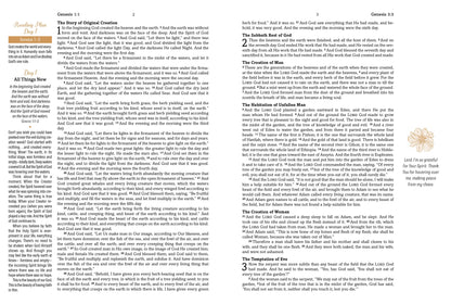 Mustard Seed Faith Devotional Bible – Simplified KJV