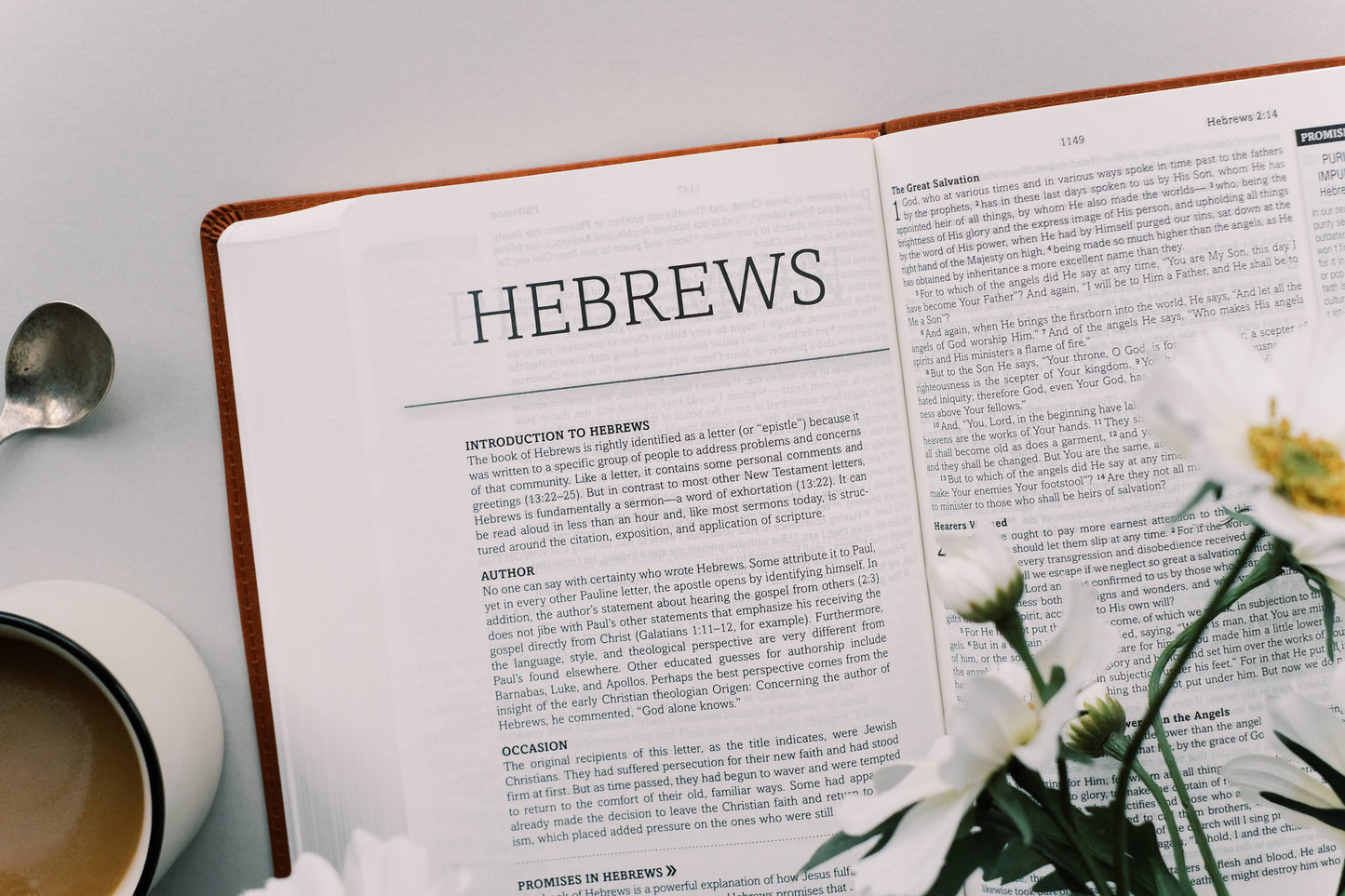 The Holy Bible: SKJV – Chestnut & Gold Floral Cover