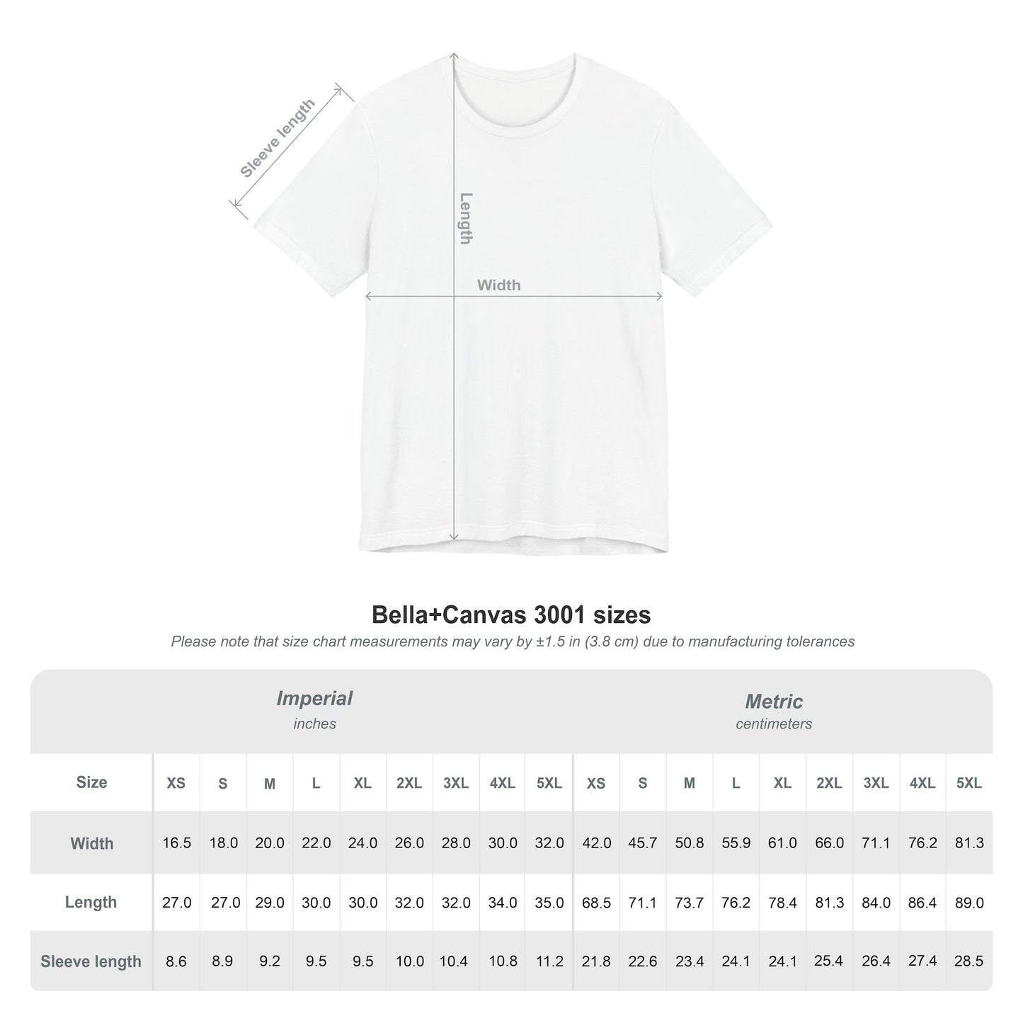 Vintage Skier Women's Tee Shirt