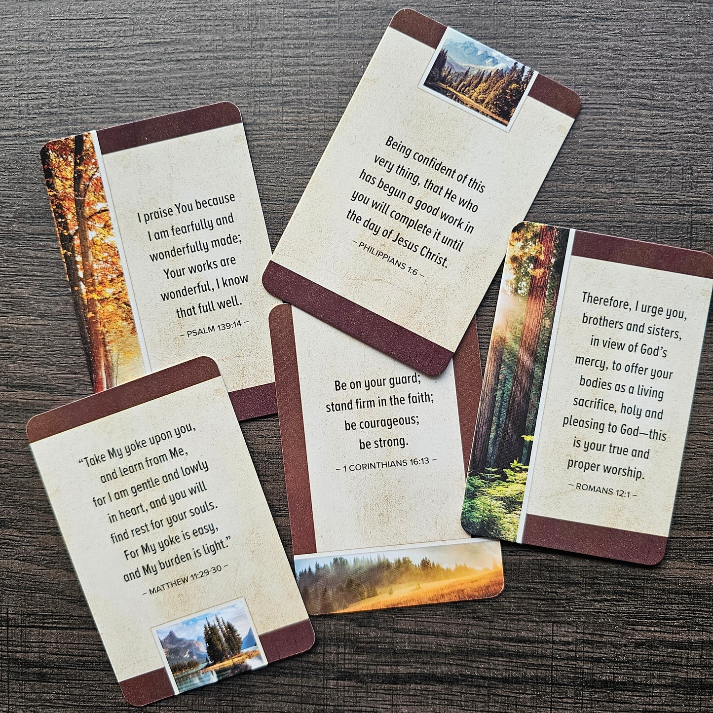 Box of Blessings Favorite Bible Verses for Men