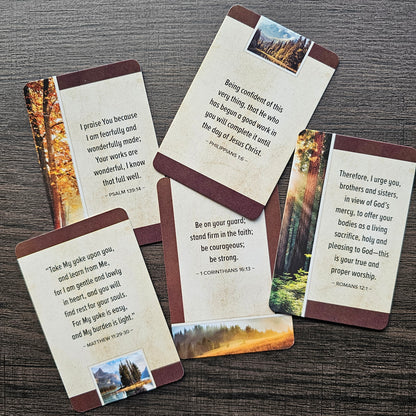 Box of Blessings Favorite Bible Verses for Men