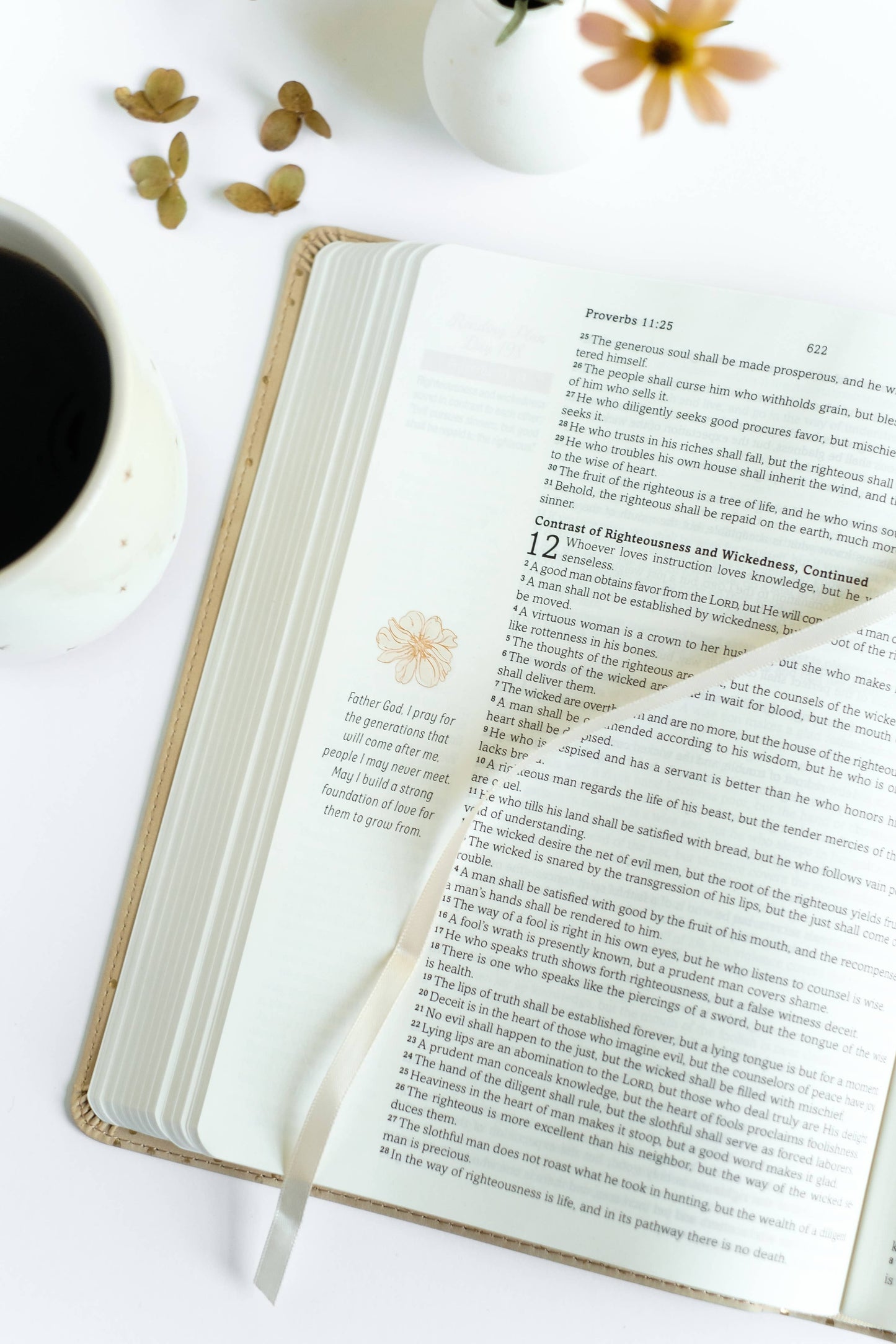Mustard Seed Faith Devotional Bible – Simplified KJV