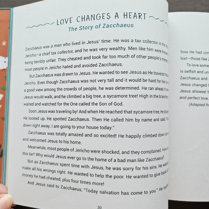 A Year of Bible Stories – 48 Illustrated Stories