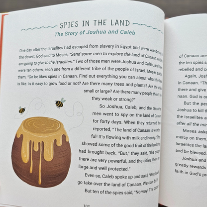 A Year of Bible Stories – 48 Illustrated Stories