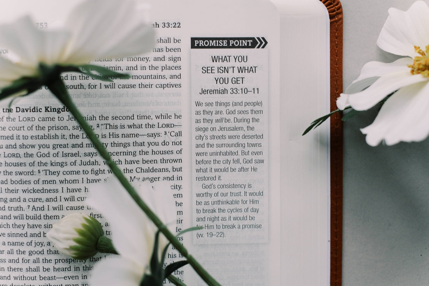 The Holy Bible: SKJV – Chestnut & Gold Floral Cover