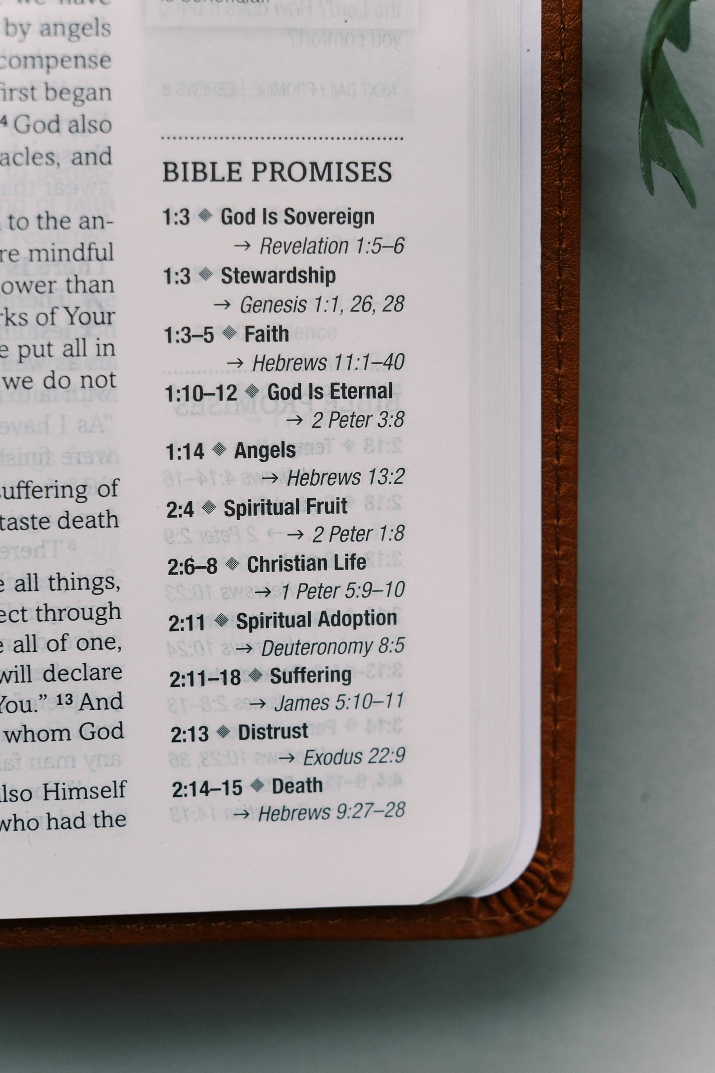 The Holy Bible: SKJV – Chestnut & Gold Floral Cover