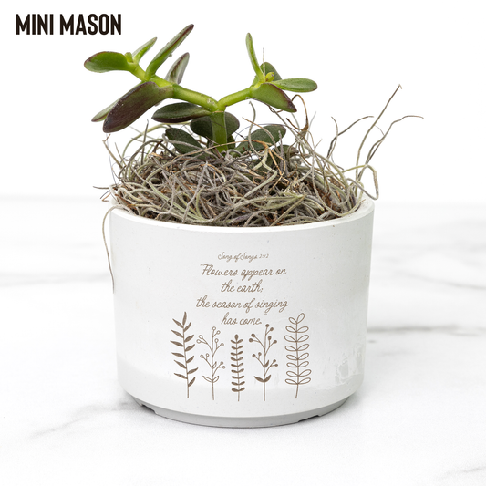 Desk_Plant_Test_Mason_Mockup_Mockup.png
