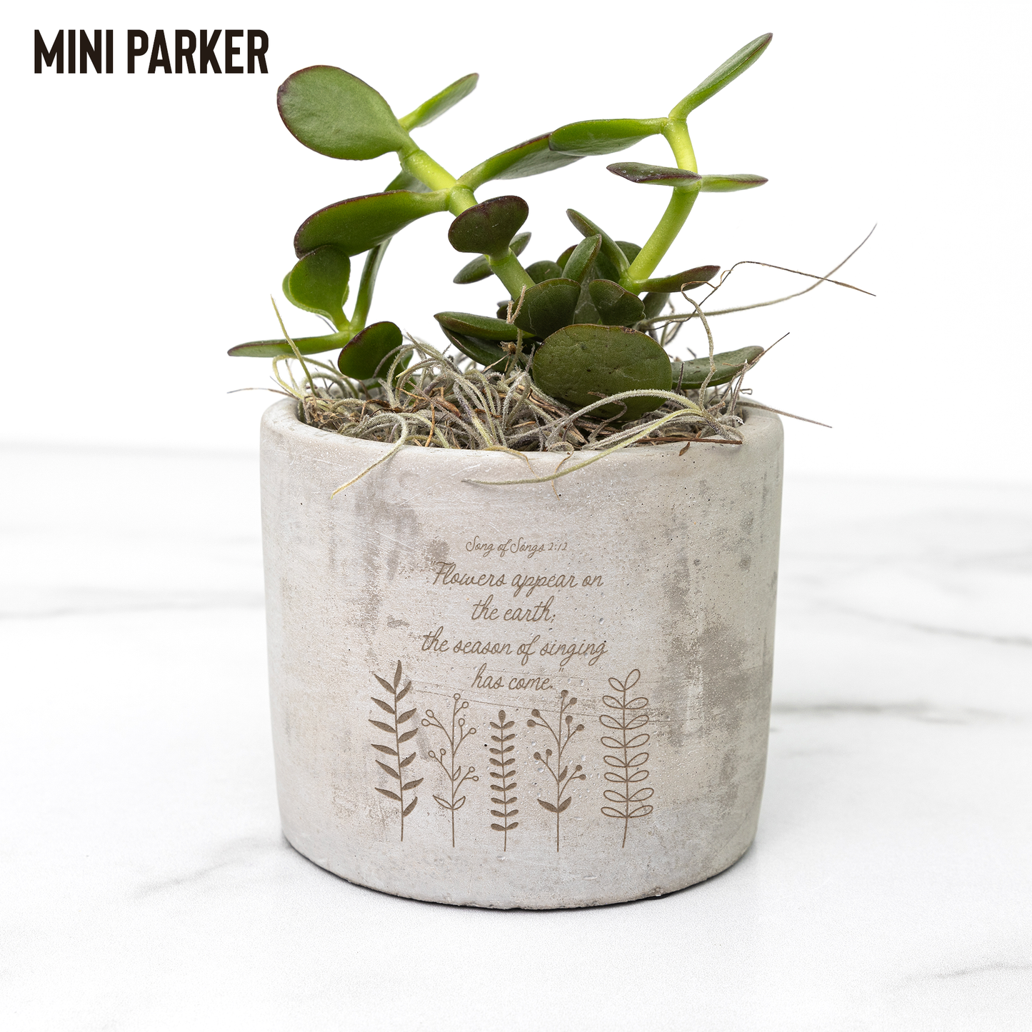 Desk_Plant_Test_Parker_Mockup_Mockup.png