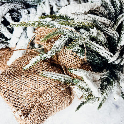 Snow Christmas Trees