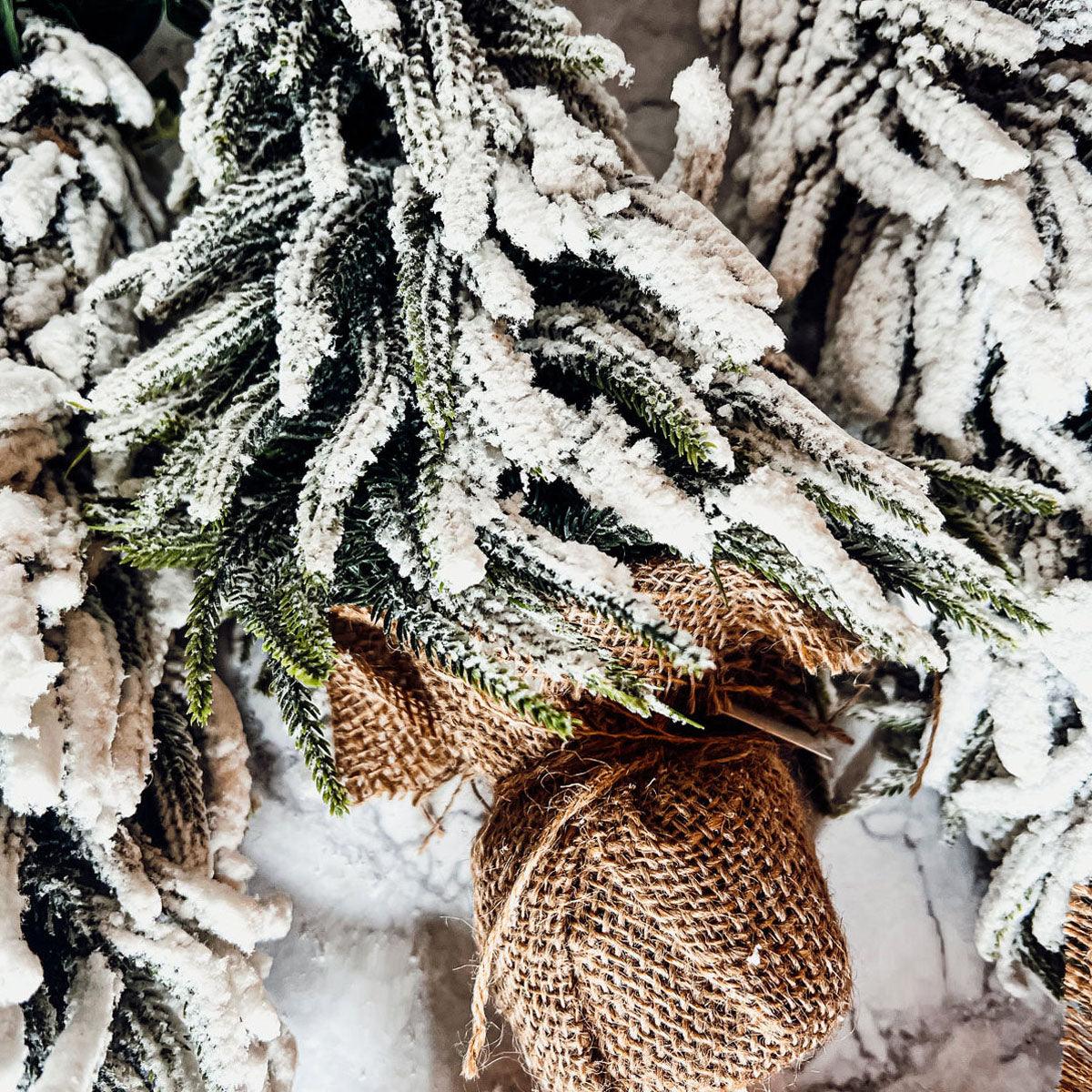 Snow Christmas Trees