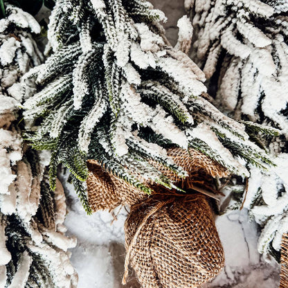 Snow Christmas Trees