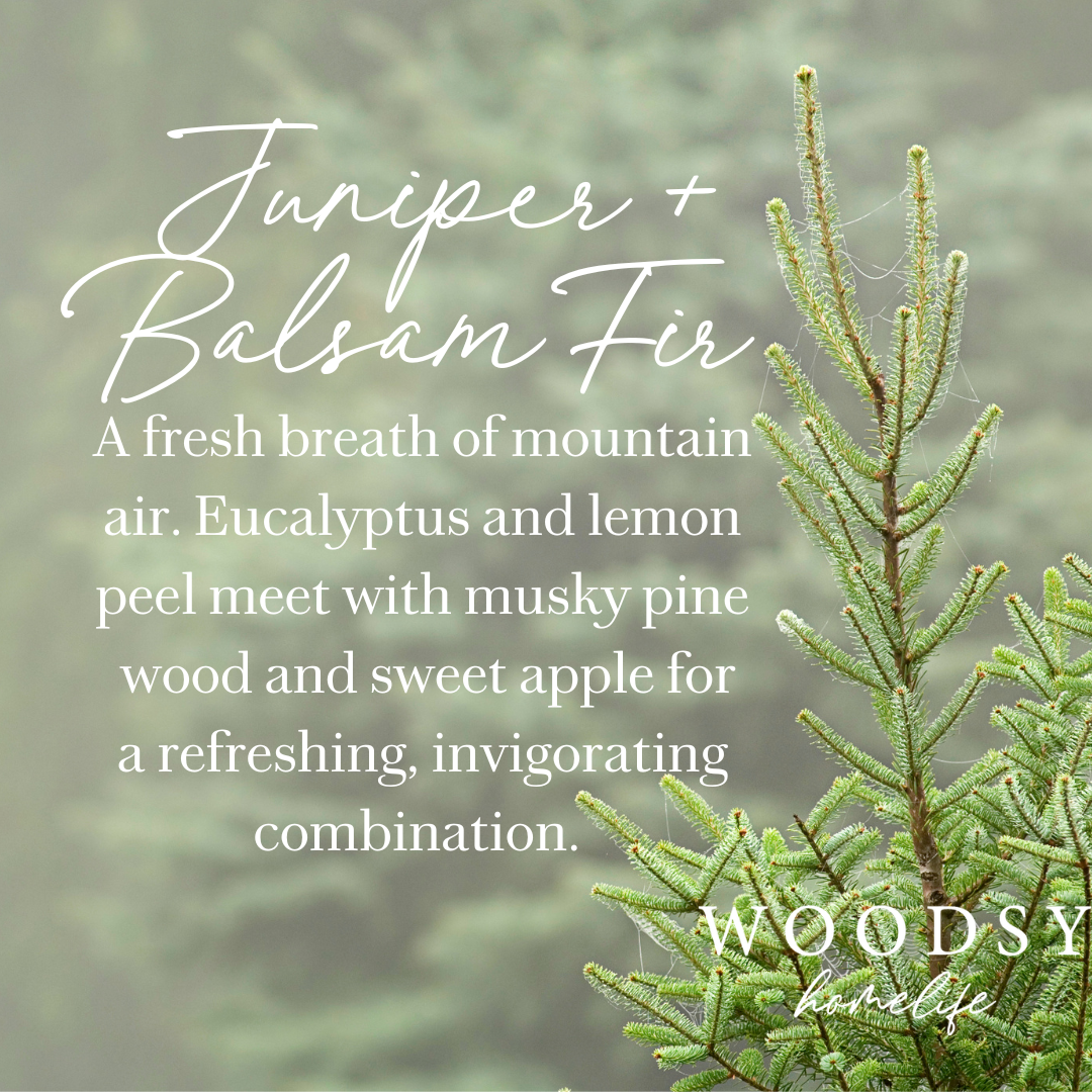 Juniper & Balsam Fir-Solid Brass 14oz Pure Soy Candle scent profile