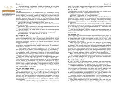 Mustard Seed Faith Devotional Bible – Simplified KJV