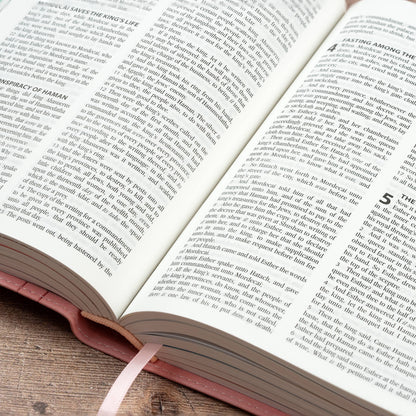 My First Real Bible for Girls – KJV Bible for Ages 3–5