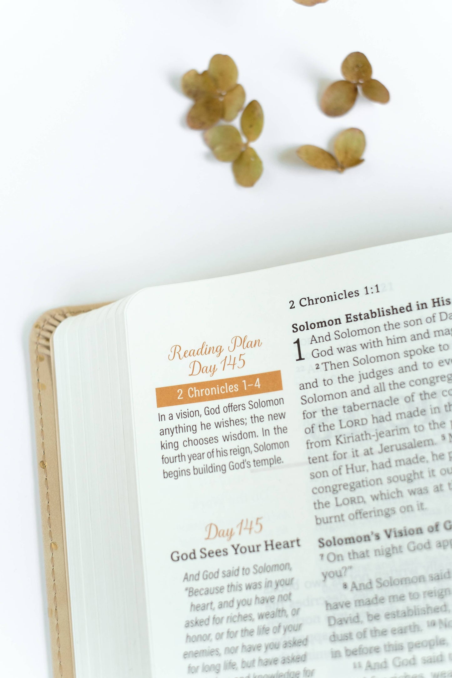 Mustard Seed Faith Devotional Bible – Simplified KJV