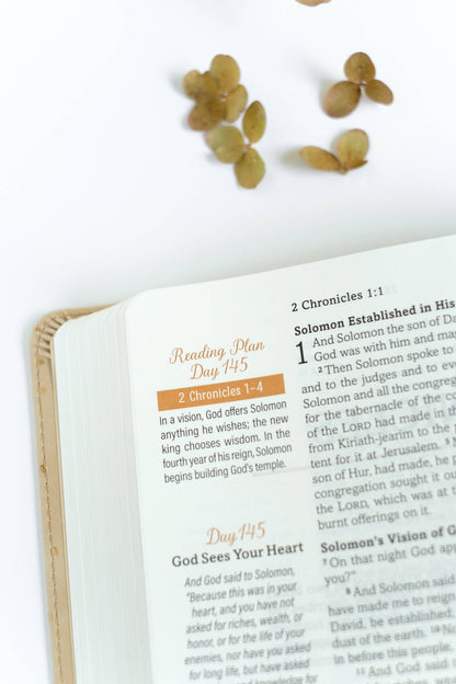 Mustard Seed Faith Devotional Bible – Simplified KJV