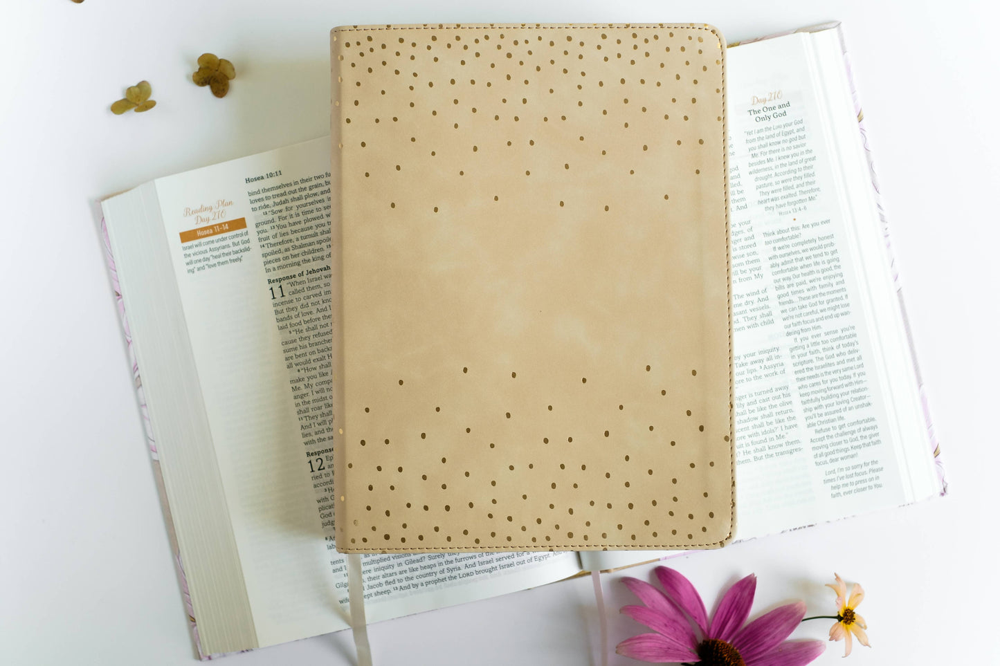 Mustard Seed Faith Devotional Bible – Simplified KJV