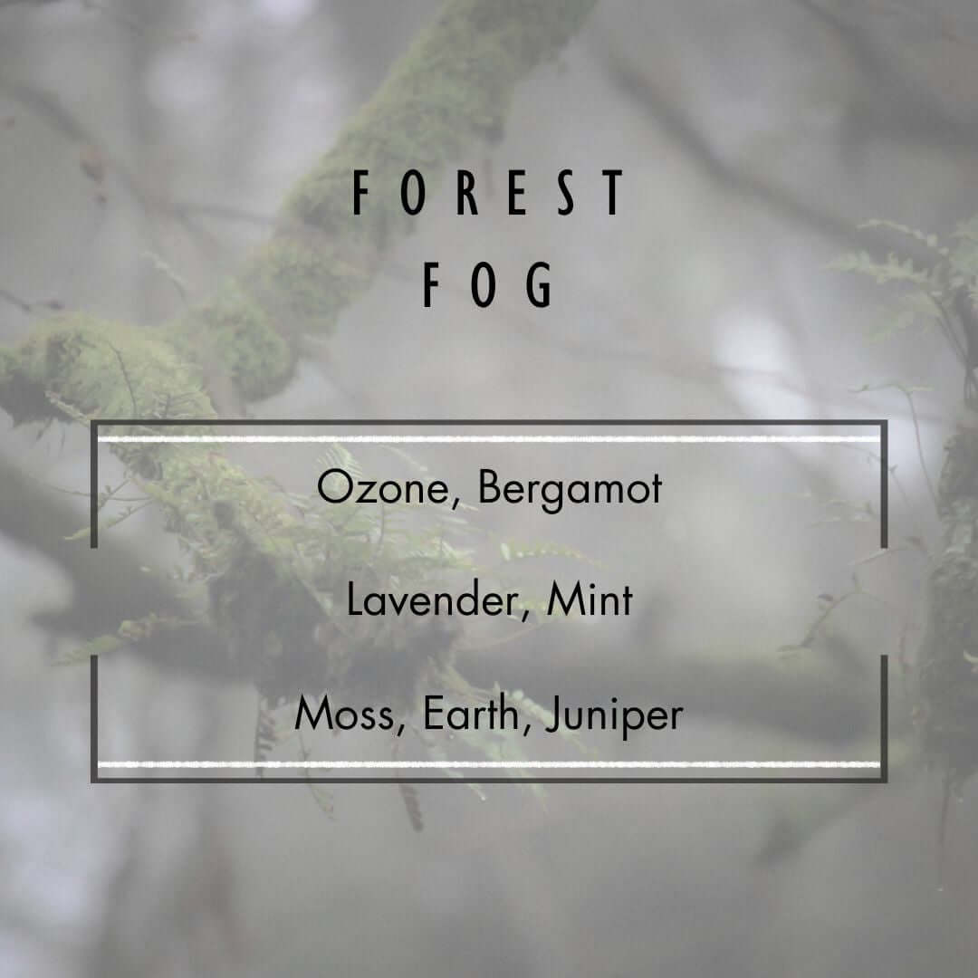 Forest Fog Soy Candle – Earthy Cedarwood & Moss Blend