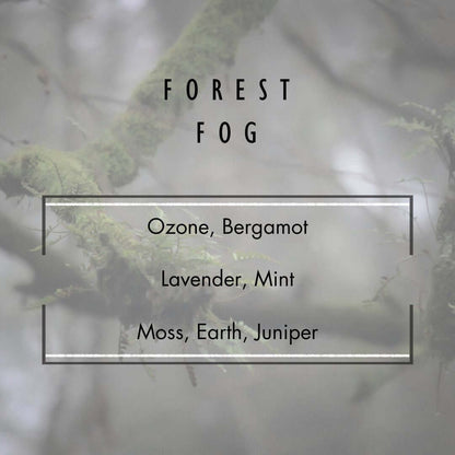 Forest Fog Soy Candle – Earthy Cedarwood & Moss Blend